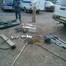 Браконьера с краснокнижными усачами задержали в ЮКО В ЮКО задержан браконьер