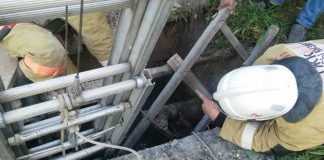 Спасатели вызволили женщину из колодца в Туркестане Спасатели спасли женщину из колодца