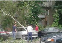 Ветер в Шымкенте сломал деревья, снес крыши, повредил автомобили Ветер в Шымкенте сломал деревья, снес крыши, повредил автомобили
