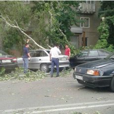 Ветер в Шымкенте сломал деревья, снес крыши, повредил автомобили Ветер в Шымкенте сломал деревья, снес крыши, повредил автомобили