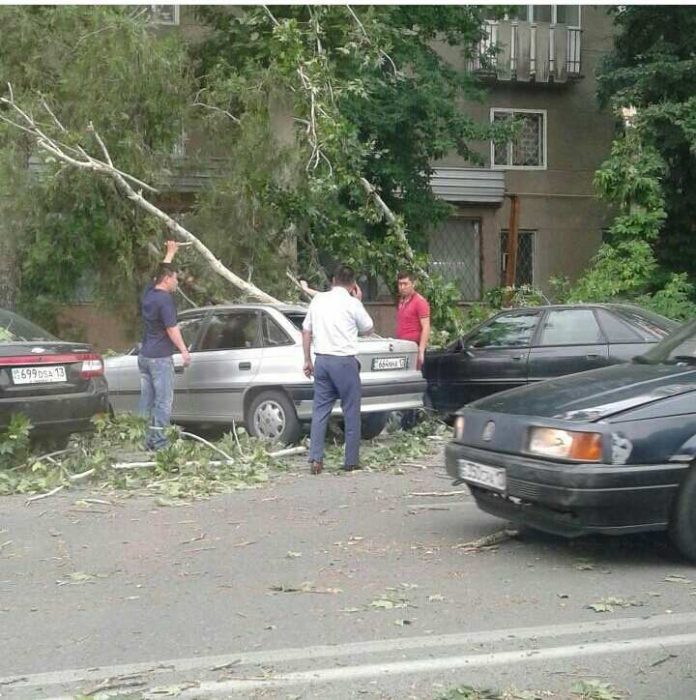 Ветер в Шымкенте сломал деревья, снес крыши, повредил автомобили