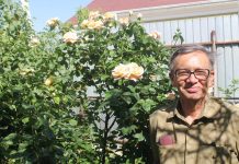 40 лет житель Шымкента собирал информацию для книги о лекарственных растениях