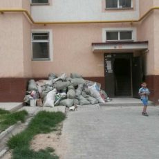 Житель Шымкента поплатился за любовь к мусору В Шымкенте житель Нурсата поплатился за любовь к мусору