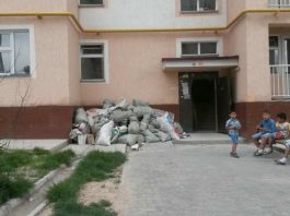 В Шымкенте житель Нурсата поплатился за любовь к мусору