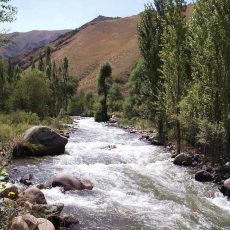 4,8 млн туристов посетили курортные зоны Казахстана в 2025 году Сарыагаш попал в тройку лучших курортов стран СНГ