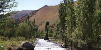 4,8 млн туристов посетили курортные зоны Казахстана в 2025 году Сарыагаш попал в тройку лучших курортов стран СНГ