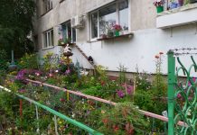 Забирайте дачу в город! Палисадник