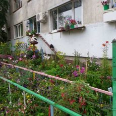 Забирайте дачу в город! Палисадник