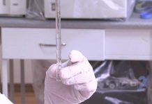 Порядка 30 тысяч различных экспертных исследований проводится по ЮКО Порядка 30 тысяч различных экспертных исследований проводится в Институте судебных экспертиз по ЮКО