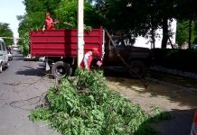 В Шымкенте начались работы по уборке дворов В Шымкенте начались работы по уборке дворов