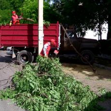 В Шымкенте начались работы по уборке дворов В Шымкенте начались работы по уборке дворов