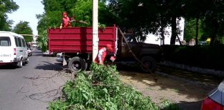 В Шымкенте начались работы по уборке дворов В Шымкенте начались работы по уборке дворов