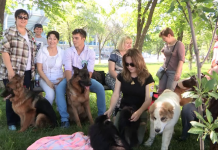 В Шымкенте прошла очередная выставка породистых собак «Звезда Отырара»