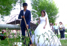 На аллее семьи в Шымкенте молодожены высадили 240 ивушек На аллее семьи молодожены высадили 240 ивушек