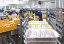 В ЮКО готовят специалистов рыбного производства Рыбное производство в ЮКО