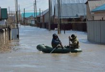 11 мая в Шымкенте принимается помощь для актюбинцев В Шымкенте создали фонд помощи