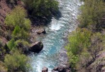 Жители поселка Ак-кала в ЮКО опасаются вспышки эпидемии сибирской язвы