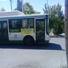 Бесплатный проезд в честь праздника в Шымкенте Бесплатный проезд в честь праздника в Шымкенте