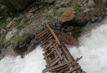 КЛАД предлагает восстановить второй мост в заповеднике ЮКО всем миром Старый мост в Сайрам-Угамском парке