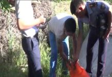 Урожай мака «собрали» полицейские у жителя Шымкента Сотрудники полиции обнаружили незаконные посевы мака у жителя Шымкента