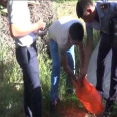 Урожай мака «собрали» полицейские у жителя Шымкента Сотрудники полиции обнаружили незаконные посевы мака у жителя Шымкента