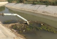 Житель Туркестанской области из ревности утопил свою подругу Канализационный сток в поливной канал в Сарыагаше