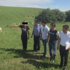 Полицейские Казыгуртского РОВД задержали скотокрадов Скотокрады