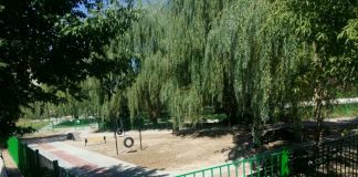 В Шымкенте открывается муниципальная собачья площадка Новая собачья площадка