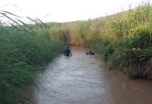 За 35 км нашли утонувшего в реке Арысь 2 месяца назад мужчину Водно-спасательные работы. Поисковые работы