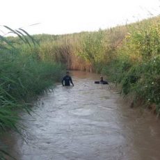 За 35 км нашли утонувшего в реке Арысь 2 месяца назад мужчину Водно-спасательные работы. Поисковые работы