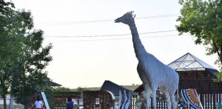 Куда сходить на весенних каникулах в Шымкенте Шымкентский зоопарк