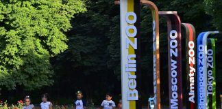 Продолжая прогулку по оживленным уголкам зоопарка Шымкентский зоопарк
