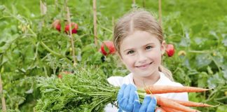 Полезные советы огородникам в шильде Девочка в огороде