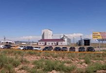 В Астане принято окончательное решение по делу ТОО «Ордабасы кус» Производитель индейки ТОО «Ордабасы кус»