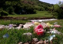 Красивейшее место в ЮКО превратилось в стихийную свалку Красивейшее место в ЮКО превратилось в стихийную свалку