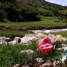 Красивейшее место в ЮКО превратилось в стихийную свалку Красивейшее место в ЮКО превратилось в стихийную свалку