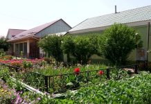 Общегородская акция «Шымкент — чистый город» продолжается Общегородская акция "Шымкент-чистый город" продолжается