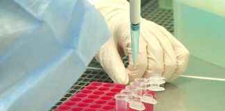 В Шымкенте можно проверить продукты на ГМО В Шымкенте теперь можно проверить пищевую продукцию на генную модификацию