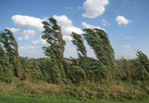 Усиление ветра обещают синоптики в ЮКО 21 августа Ветер в ЮКО