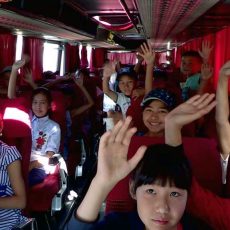 Для 240 тысяч школьников в Шымкенте власти организуют летний досуг Дети из малоимущих семей отправились в летние лагеря отдыха