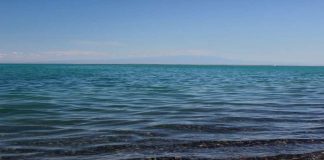 Сколько стоит отдохнуть на казахстанских курортах? озеро Алаколь