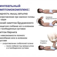 Менингококковая инфекция: как уберечь себя и детей Менингит