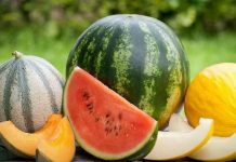 Как правильно выбрать арбуз Арбузы и дыни