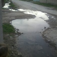 Воду с неприятным резким запахом сбрасывает ленгерский цех мороженого