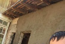 По шымкентскому whatsаpp messenger «гуляет» мини-динозавр Мини-динозавр гуляет по ватсапу