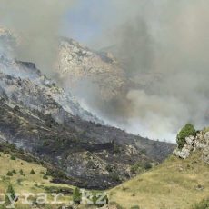 Крупный пожар полыхает неподалеку от Сайрам-су в ЮКО Пожар в горах ЮКО