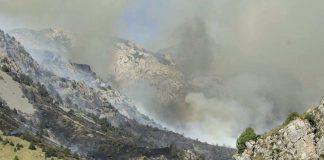 Крупный пожар полыхает неподалеку от Сайрам-су в ЮКО Пожар в горах ЮКО