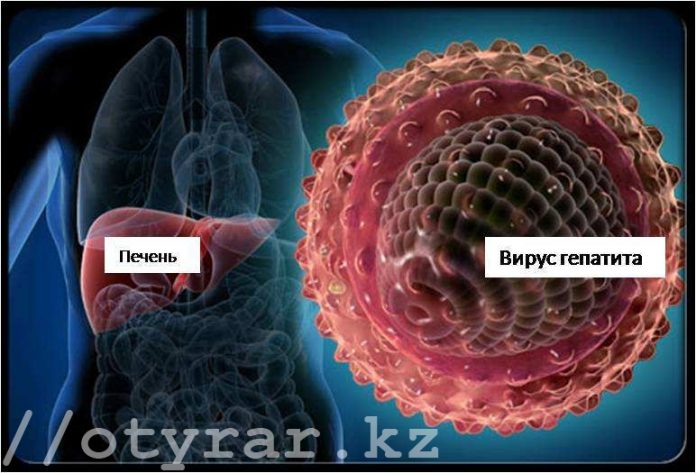 В Казахстане растёт количество людей с вирусным гепатитом
