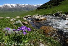 Новую национальную компанию «Казах туризм» создали в Казахстане создана нацкомпания «Казах туризм»