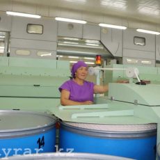 В ЮКО начала свою работу прядильно-крутильная фабрика «Azala Cotton» прядильно-крутильная фабрика «Azala Cotton»
